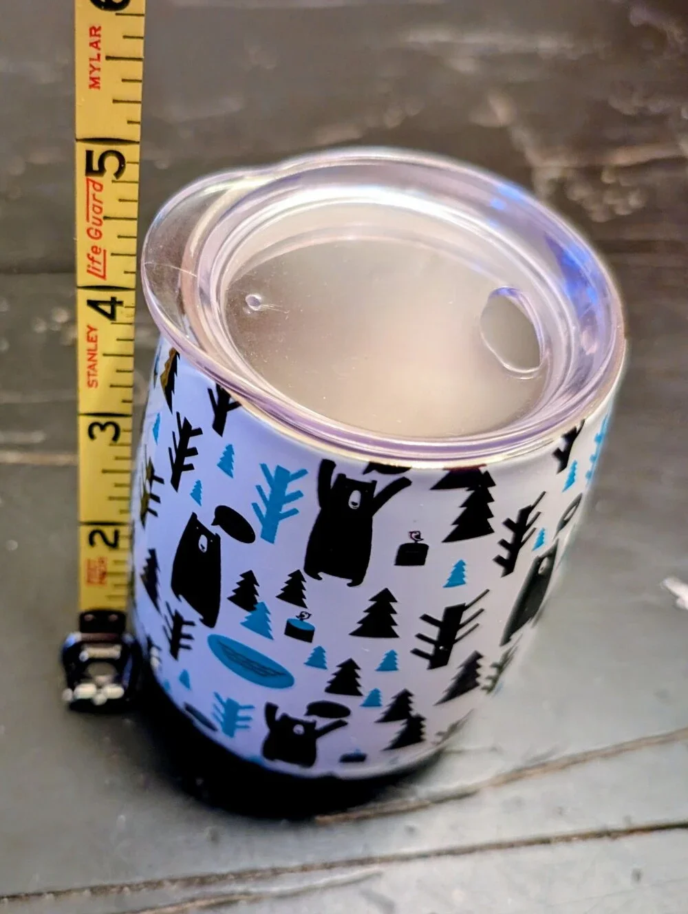 Adirondack Mountains Stainless Steel Wine Tumbler Cabincore Souvenir Collectible